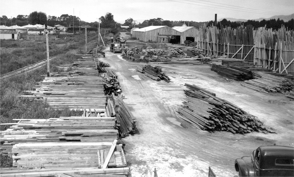 Pages-from-Indigenous-Logging-Book
